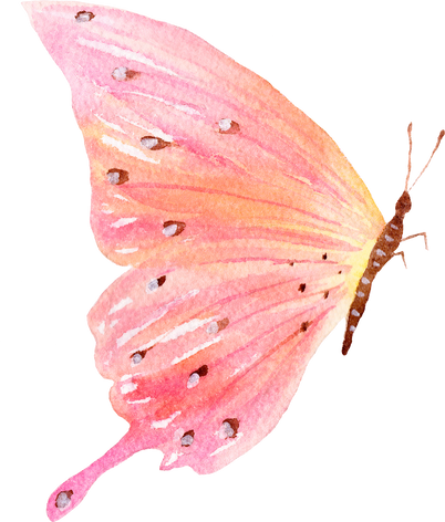 Pink Watercolor Butterfly Clipart